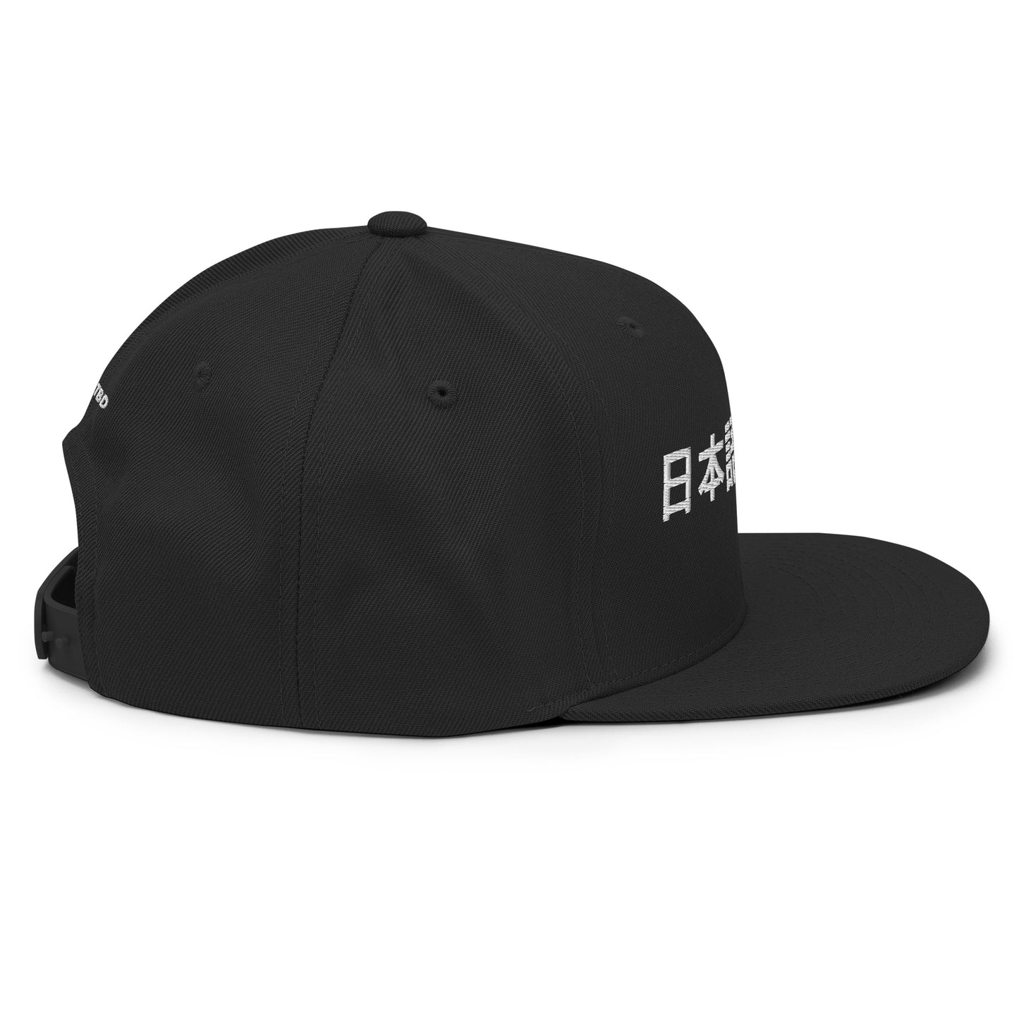 Right side view of the FPOTBD Something in Japanese Embroidered Logo Snapback Hat in Black.