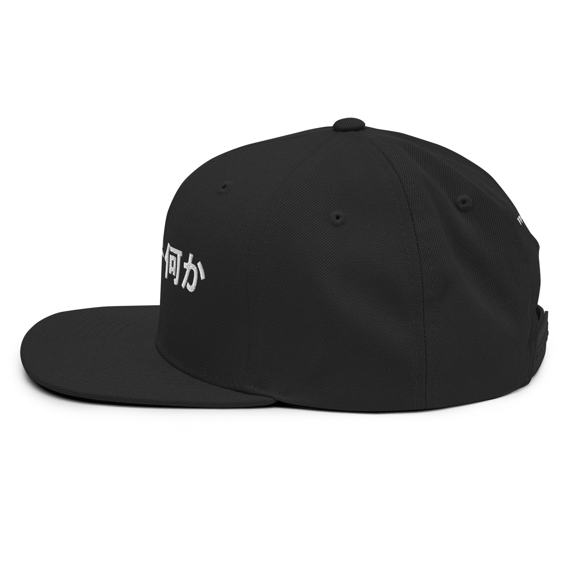 Left side view of the FPOTBD Something in Japanese Embroidered Logo Snapback Hat in Black.